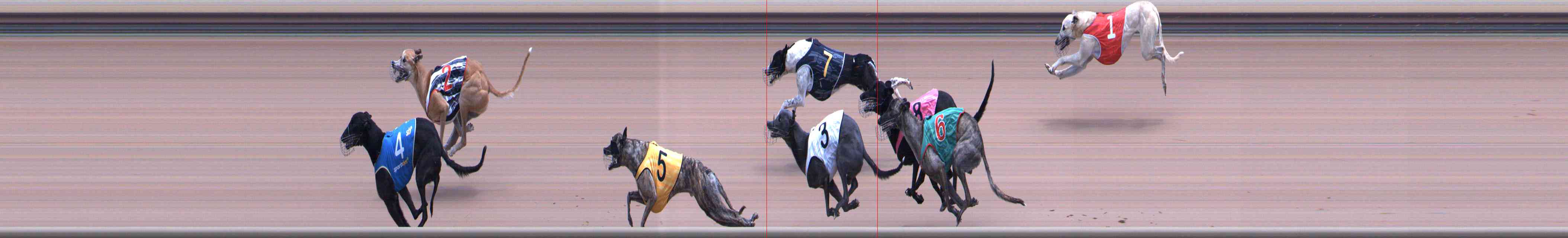 Race result finish photo